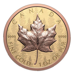 Hoja de Arce Canadiense 1 onza Oro 2025 Reverse Proof Ultra High Relief