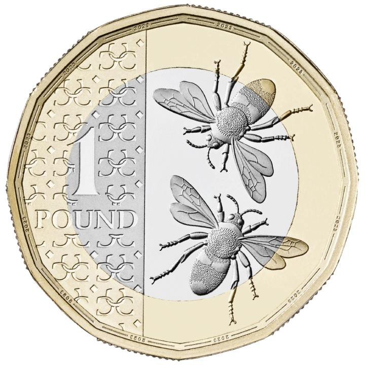 Lote de 14 monedas de plata Gran Bretaña 2024 Proof