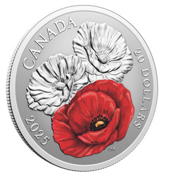 Canada : Jour du Souvenir - épreuve en argent 1 oz 2025 colorée