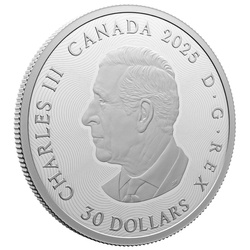 Canada: Segni zodiacali colorato 2 once d'argento 2025 Proof