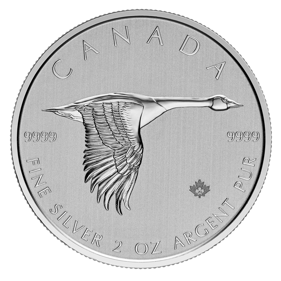 Gans 2 oz Silber 2020