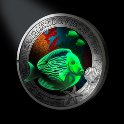 Poisson-chirurgien bleu coloré 3 euros de cuivre 2024