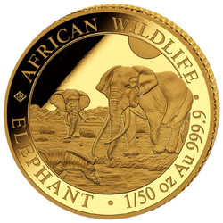 Zlatá mince African Wildlife: Somálský slon 1/50 unce zlata 2026