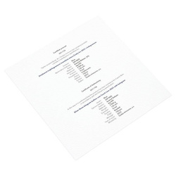 Niue : Czech Lion 3000 grammes d'argent 2023 Proof Hologram