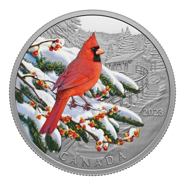 Canada: Colourful Birds - Northern Cardinal kolorowany $20 Srebro 2023 Proof