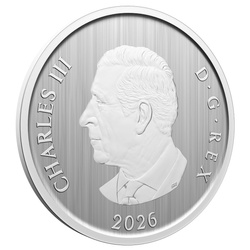 Стоманена монета Причудлива зима цветна 50 цента 2026 лентикулярна монета