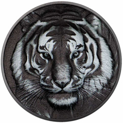 Isole Cook: Black and White - Tigre 1 oncia d’argento 2025 Obsidian Black Proof