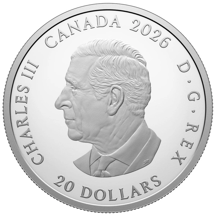 Moneta d'argento Celebrazione della diversità del Canada - Resilienza e unità 1 oncia d'argento 2026 Proof