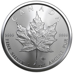 Feuille d'érable canadienne 31,19 grammes d'argent 2023 (pièce présentant un défaut visible)