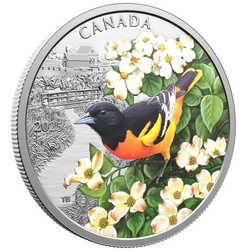 Canada: Colourful Birds - Baltimore Oriole coloured $20 Silver 2025 Proof 