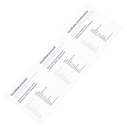 Niue: Czech Lion 1 oz Gold 2023 Proof with Hologram