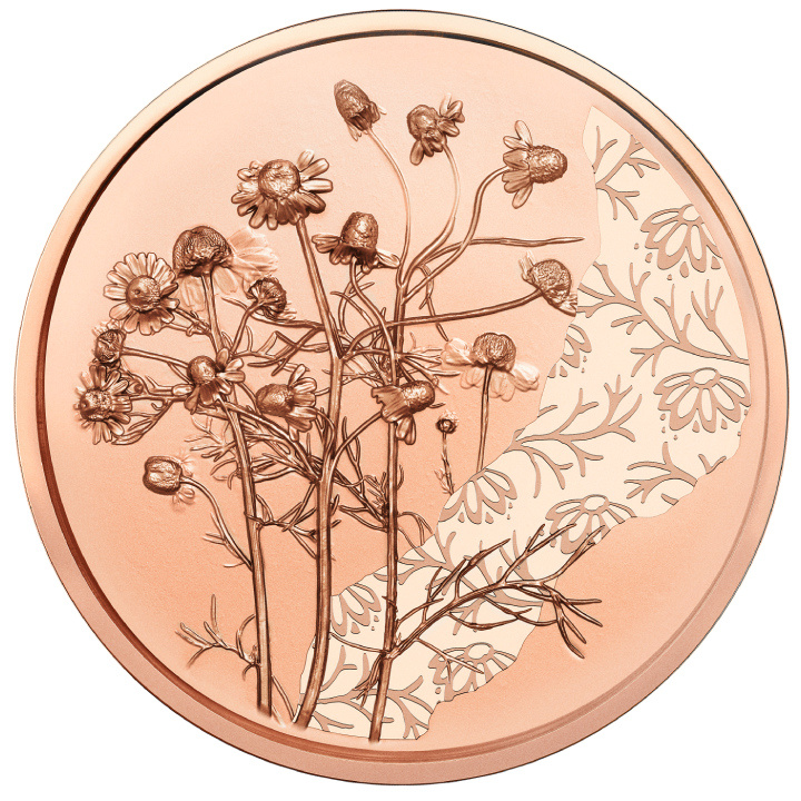 The Chamomile 10 Euro Copper 2023 Coin