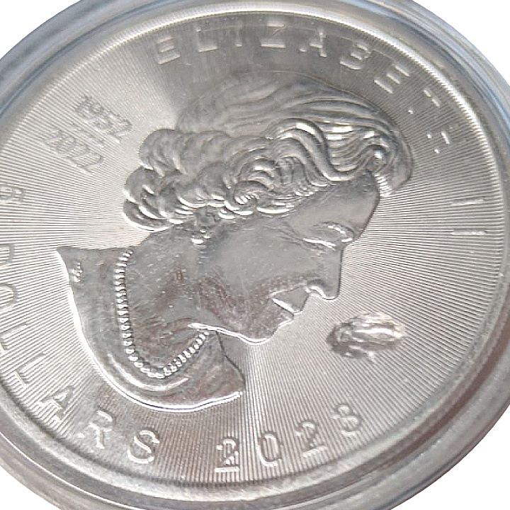 Canadian Maple Leaf 31.19 grams of Silver 2023 (coin with visible flaw)