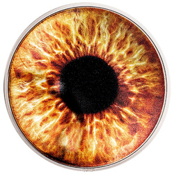 Kanada szett: Kanadai baba 5 érme 2023