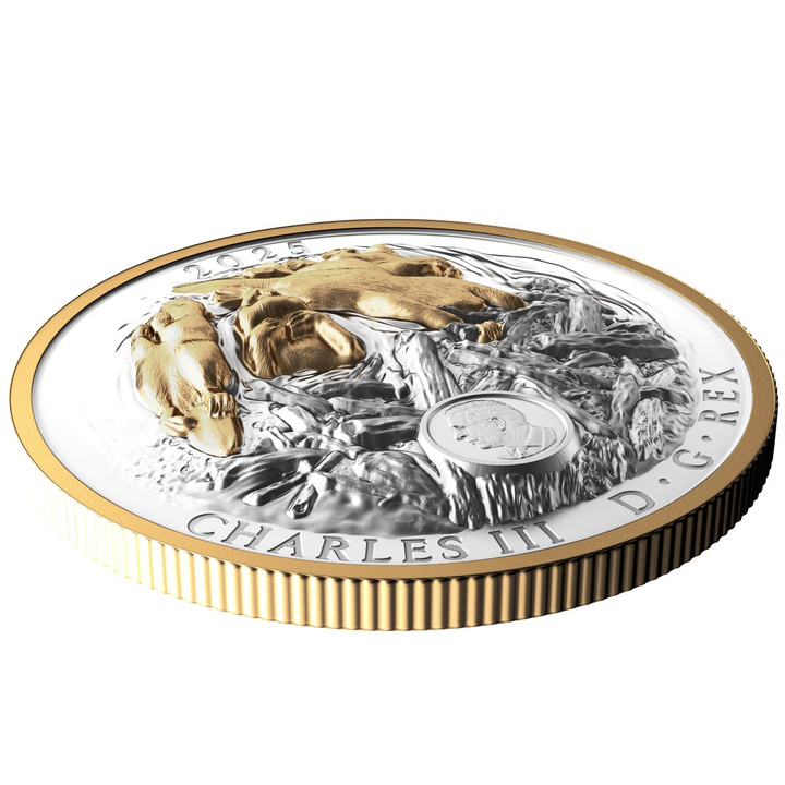 Kanada: Canadian Symbol – The Beaver vergoldet $50 Silber 2025 Proof High Relief