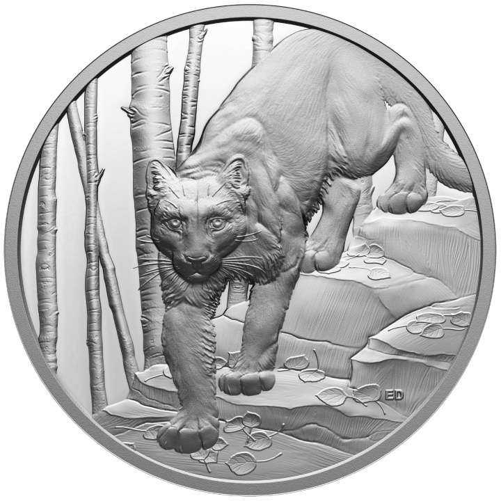 Canada: Grandi cacciatori - Puma $20 Argento 2024 Moneta Proof Ultra High Relief