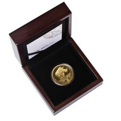 Big Five III: Rhino 1/4 oncia d'oro 2025 Proof