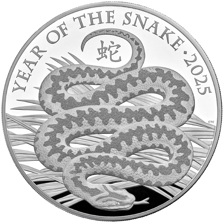 Royal Mint Lunar: Anno del Serpente 1000 grammi d'argento 2025 Proof