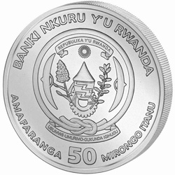 Rwanda: African Ounce - Leopard 1 uncja Srebra 2024