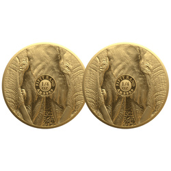 Big Five III: Set Elefante 2 x 1/4 oncia d'oro 2024 Proof