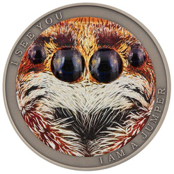 Niue: Wild Africa - The Jumping Spider coloured $1 Silber 2022 Antique Finish Coin