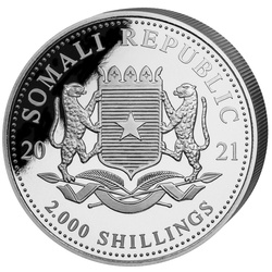 African Wildlife: Leopard 1000 g Silver 2021