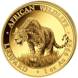 Somalia: African Wildlife - Leopard 1 oz Gold 2023