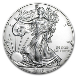American Eagle 1oz Silver Circulation condition after cleaning from painting coins