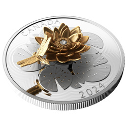 Canada: The Dragonfly and the Bloom $50 Silver 2024 Gilded Proof Coin