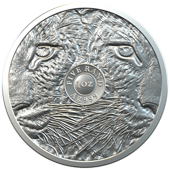 Big Five: Leopard 1 oz Silber 2020