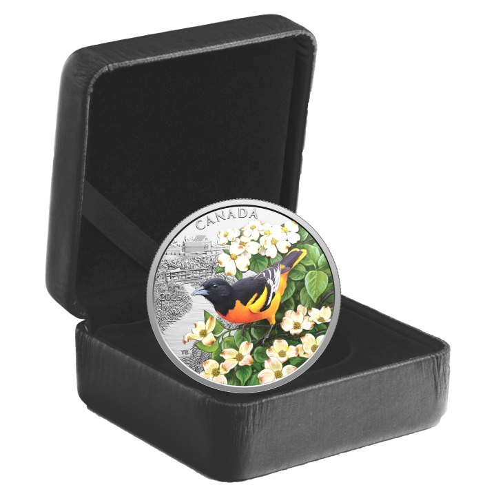 Canada: Colourful Birds - Baltimore Oriole kolorowany $20 Srebro 2025 Proof
