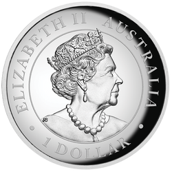 Australian Kangaroo coloured 1 oz Silber 2022 Proof High Relief