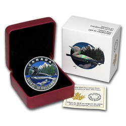 Fauna geométrica: Glaciar Nur $20 2016