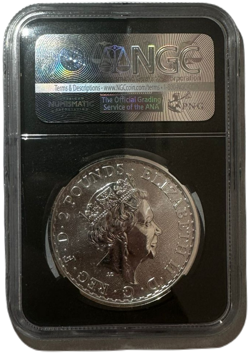 Britannia 1 uncja Srebra 2017 20th Anniversary Privy NGC Gem Uncirculated First Day of Issue USZKODZONY SLAB