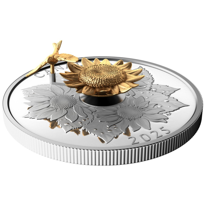 Kanada: The Goldfinch and the Bloom pozlacené 50 $ stříbro 2025 Proof