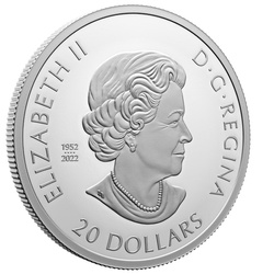Canadá: Día del Recuerdo de color $ 20 Plata 2023 Proof