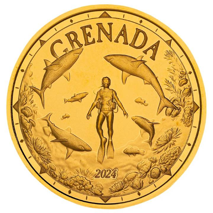 Grenada: Shark Diver 1 uncja Złota 2024 Proof