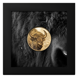 Mongolia: Bison 1 oz Gold 2025 Proof