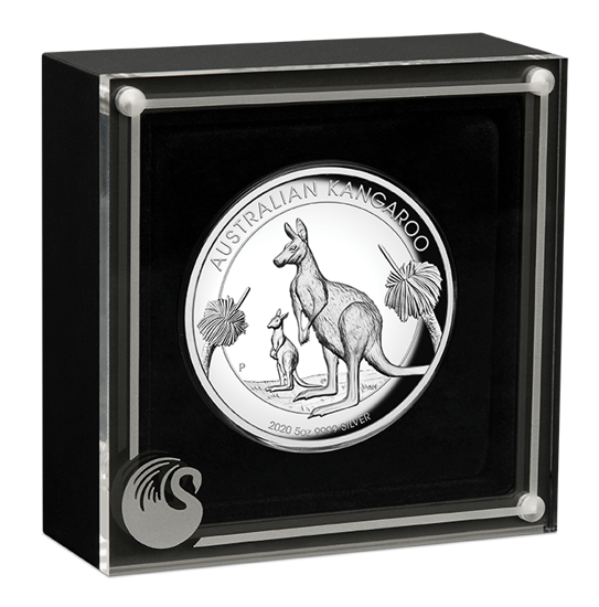 Canguro australiano 5 once d'argento 2020 Proof High Relief