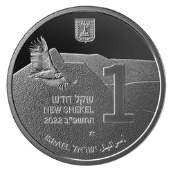 Conjunto de 3 monedas: Gamla y los buitres 2022