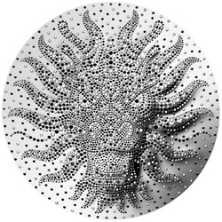 Niue: Year of a Dragon 2 uncje Srebra 2024 Prooflike