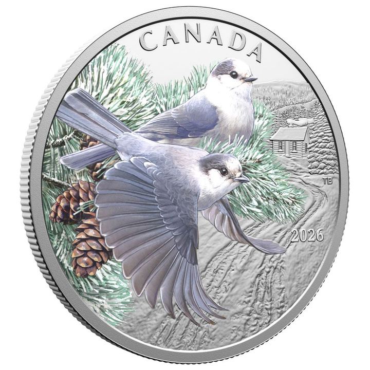 Monedă de argint Păsări colorate: Gaițe canadiene colorată 1 uncie de argint 2026 Proof