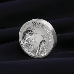 Kookaburra 5 onces d'argent 2023 Incuse