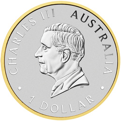 Set di 4 monete Perth Mint 125° anniversario della fondazione 4 x 1 oncia d'argento 2024