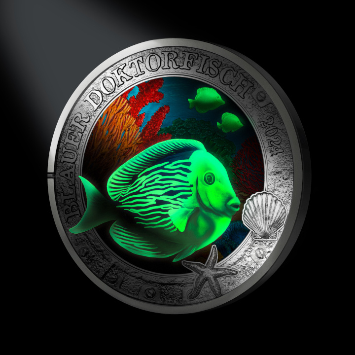 Blue Doctorfish coloured 3 Euro Copper 2024