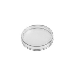 Capsulă din plastic pentru monedă 14 mm 10 bucăți
