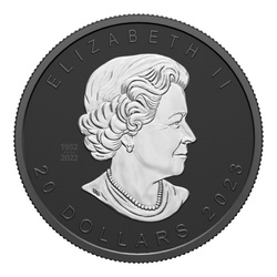 Kanadyjski Liść Klonowy - Super Incuse 1 uncja Srebra 2023 Black Rhodium Proof