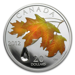 Arce azucarero - Gota de lluvia 1 oz Plata 2012