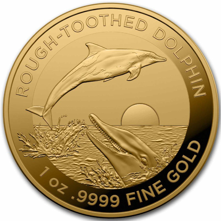 Rough-Toothed Dolphin 1 oz Gold 2023