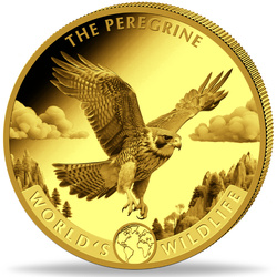 Congo: World‘s Wildlife - Peregrine Falcon 1 oz Gold 2024